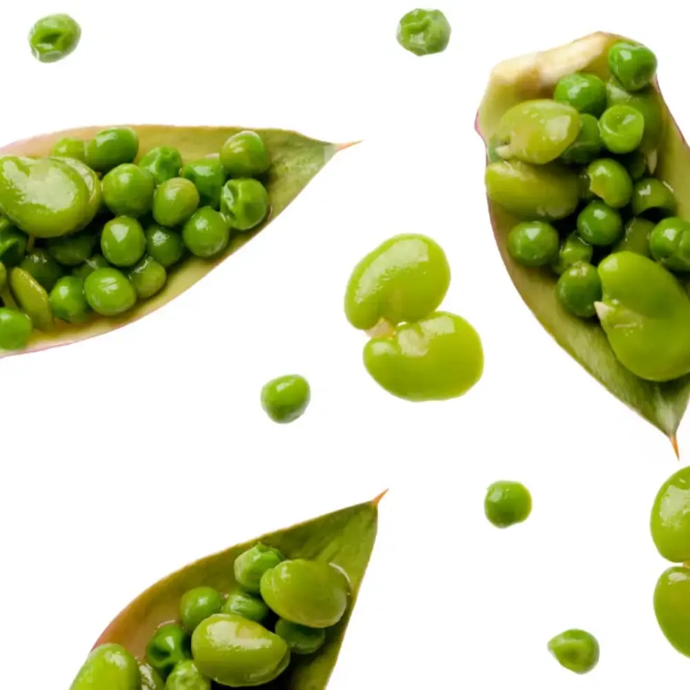 Feuille d'artichaut, fèves et petits pois, ingrédients frais pour la jardinière de printemps